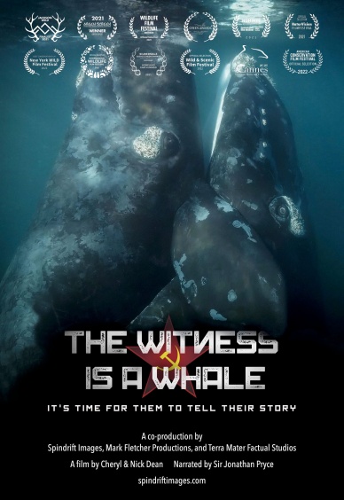 Свидетелят е кит